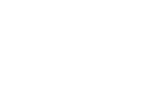 YSI