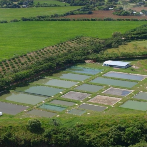 Producción Pesquera y Acuícola en America Latina y el Caribe.