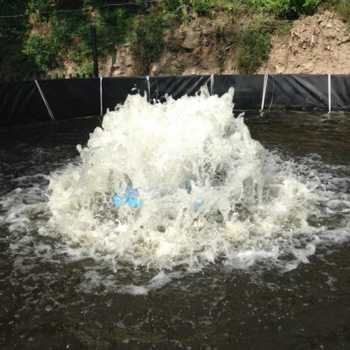 Aireador de modelo de bomba vertical mejora la productividad del cultivo de tilapia en sistema biofloc